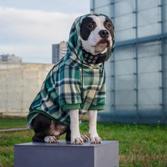 Spark Paws dog hoodie interior fleece provides cozy warmth and calm feel.