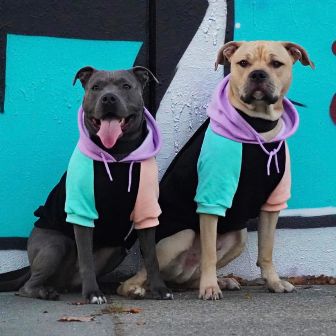 Spark Paws dog hoodie shows discreet leash opening for harness attachment