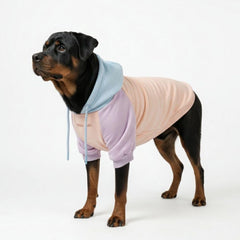 Spark Paws Dog Hoodie shows butter-stretch fabric for all-day comfort