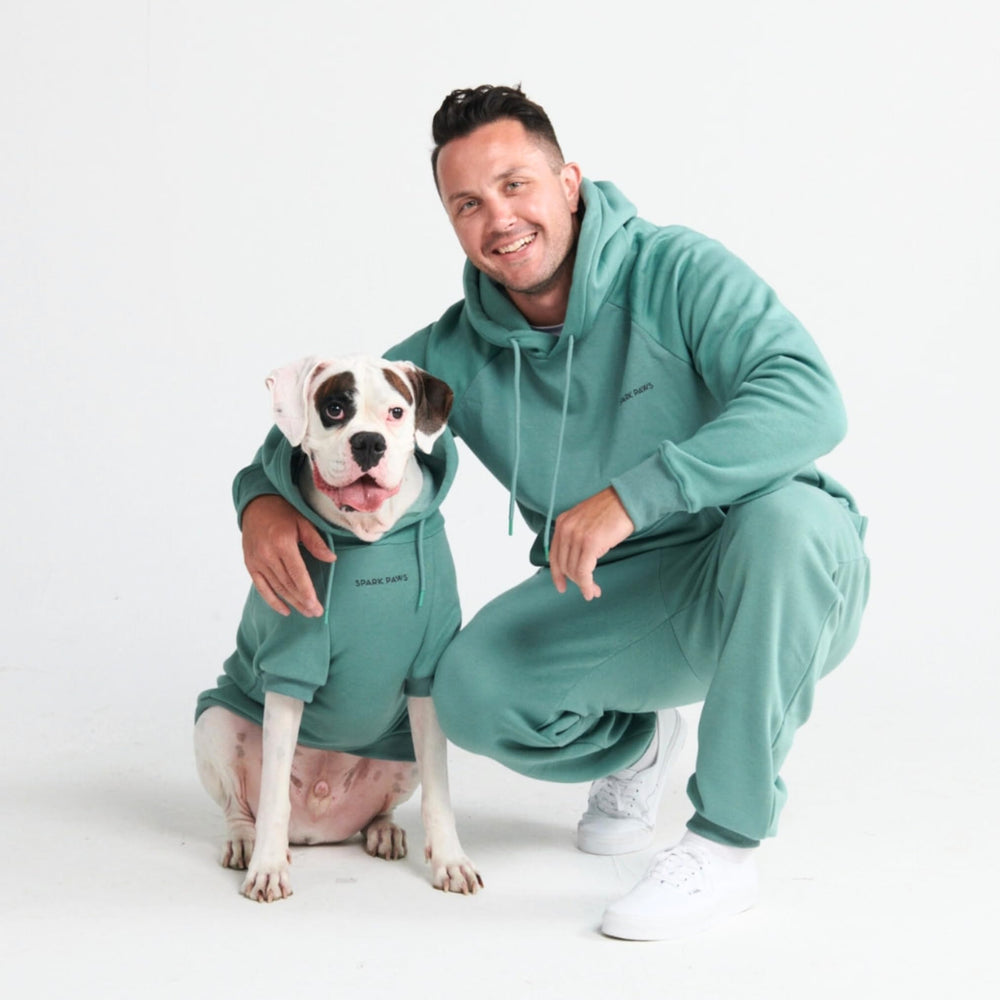 Spark Paws teal dog hoodie during outdoor winter walk for stylish warmth