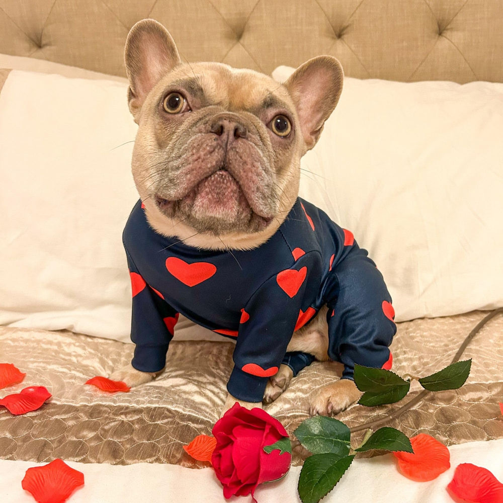 Spark Paws dog pajama heart durable fabric promises lasting cozy nights