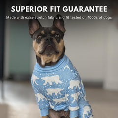Spark Paws dog pajama on a resting dog; comfortable recovery-friendly design.