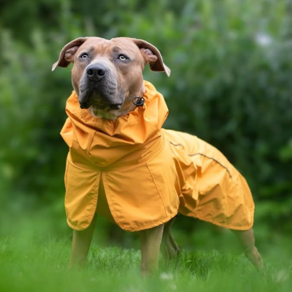 Spark Paws raincoat breathable mesh lining enhances all-weather comfort.