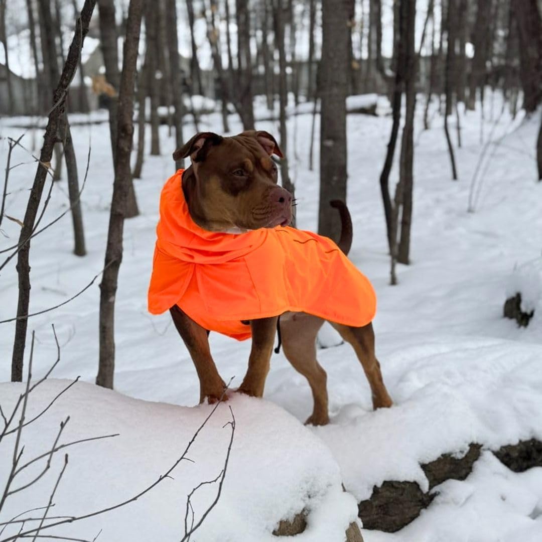 Spark Paws raincoat hind-leg toggle allows easy bathroom breaks without losing coverage.
