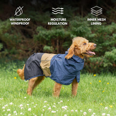 Spark Paws reflective safety strips boost visibility on nighttime walks.