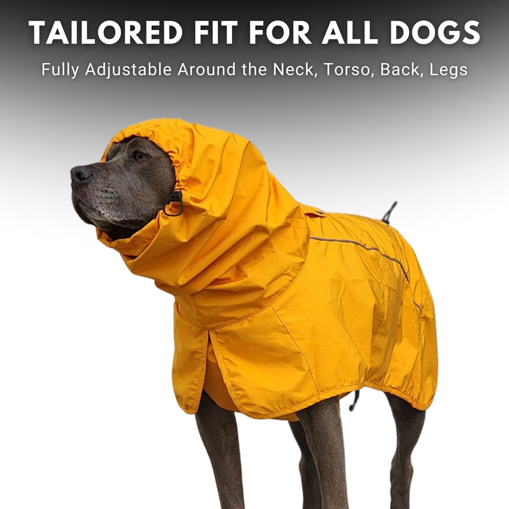 Spark Paws raincoat reflective strips boost nighttime visibility.