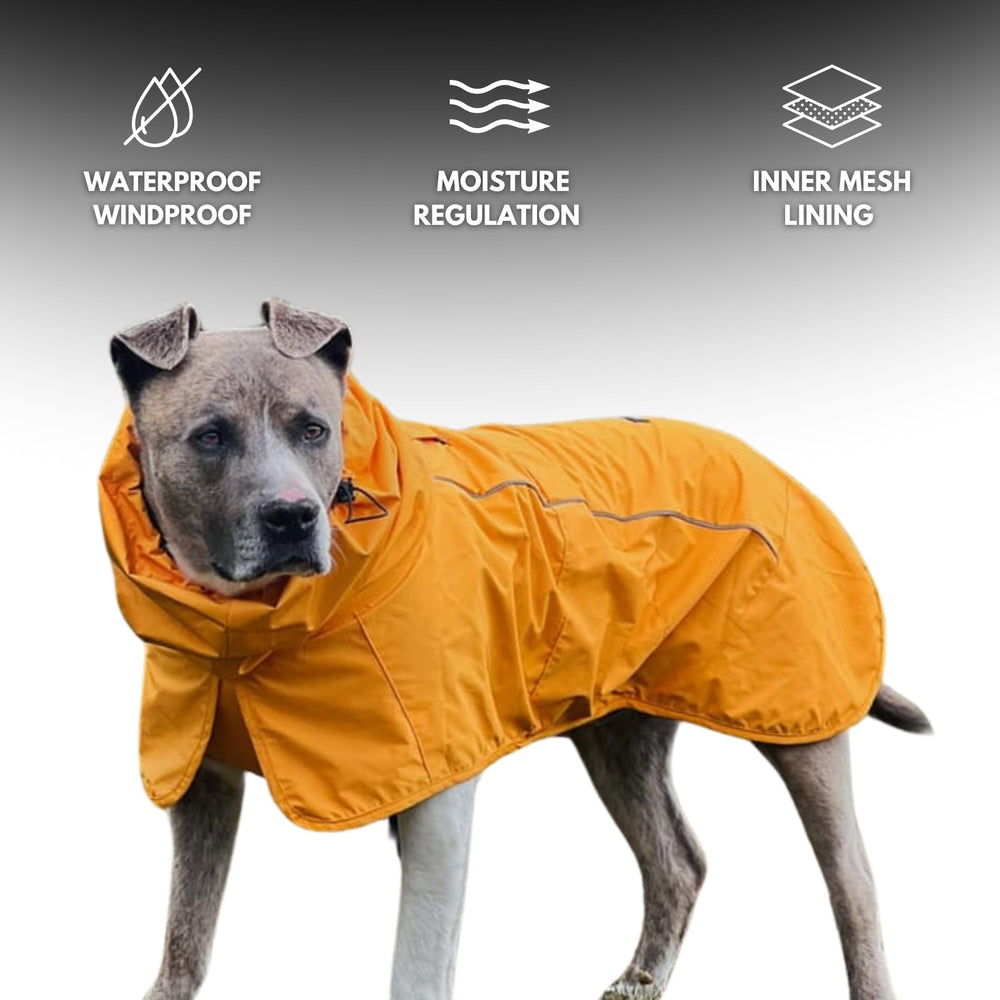 Spark Paws raincoat reflective-strips boost visibility for safe nighttime strolls.