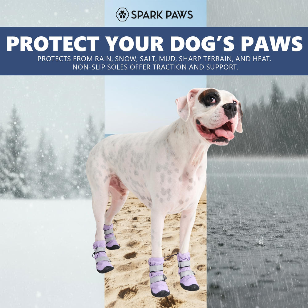 Spark Paws lilac dog shoes with reflective straps for visibility at dawn.