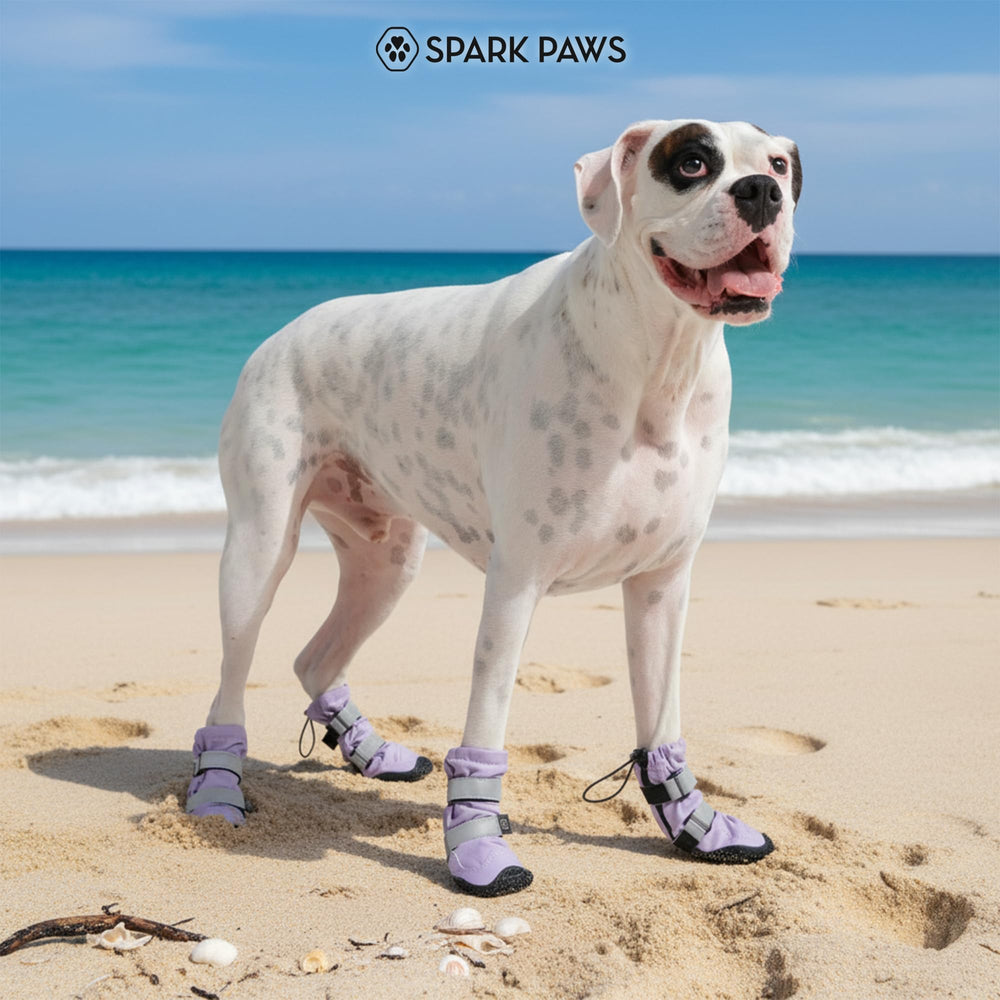 Spark Paws lilac dog shoes size 2 helps ensure a proper fit.