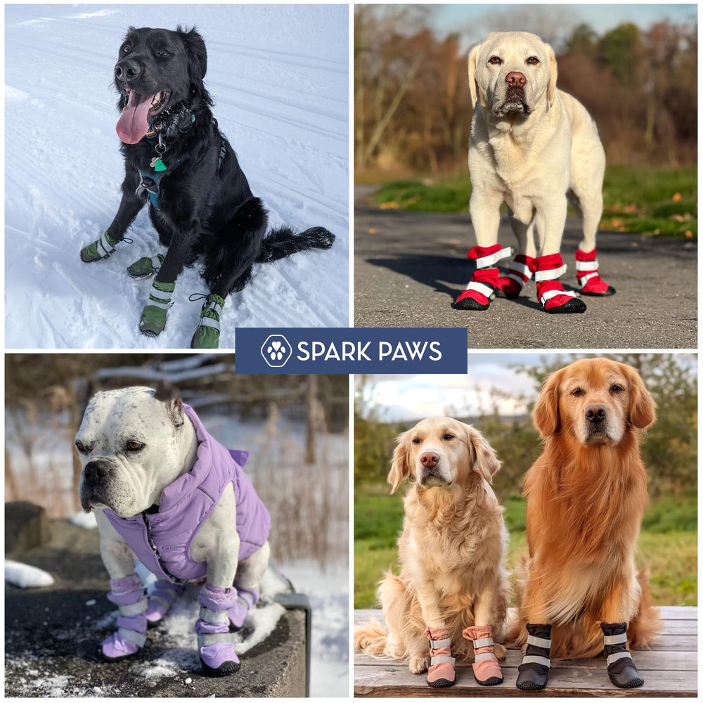 Spark Paws sizing guide helps fit medium to large dogs precisely.