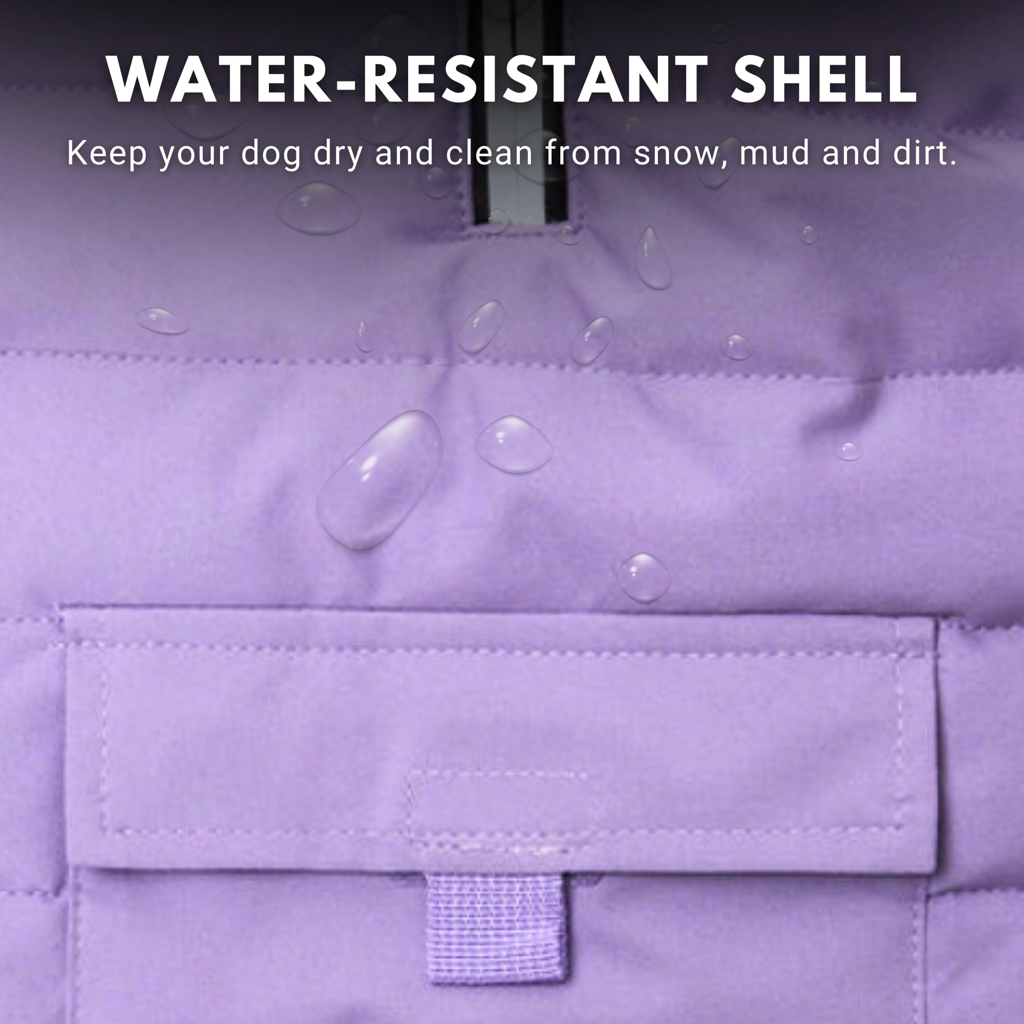 Spark Paws water-resistant jacket exterior keeps dogs dry during winter walks