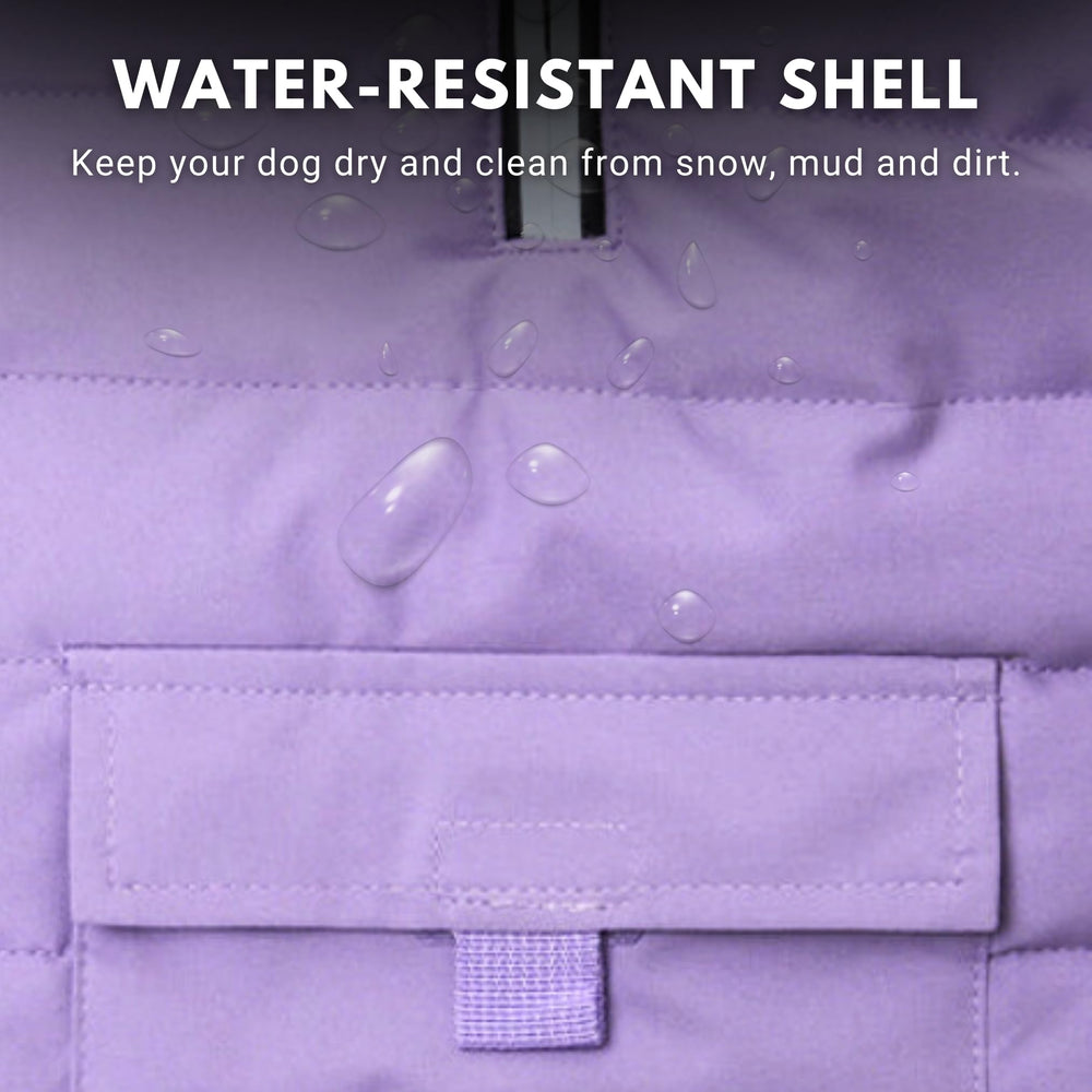 Spark Paws water-resistant jacket exterior keeps dogs dry during winter walks