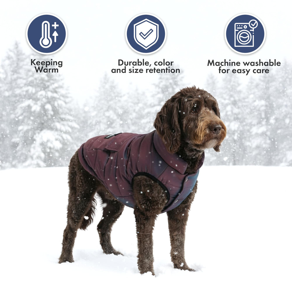 Spark Paws Cosmic dog winter jacket reflective-strips highlight nighttime visibility