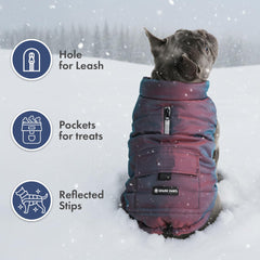 Spark Paws Cosmic dog winter jacket water-resistant close-up showcases durable outer shell