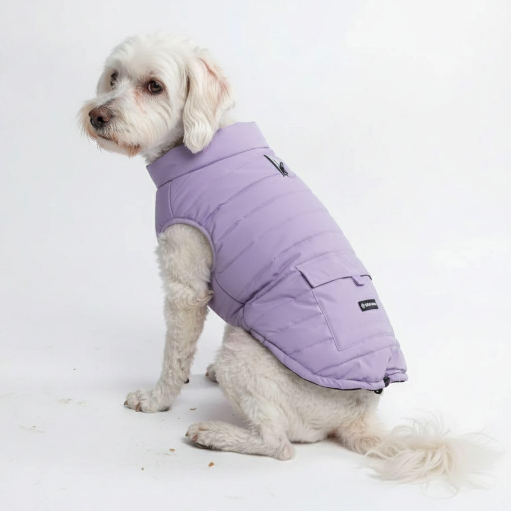 Spark Paws dog winter jacket front view in lilac showing warmth and water resistance