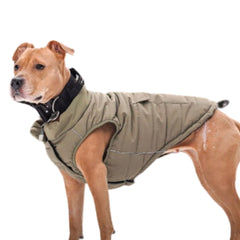 Spark Paws dog winter jacket olive 3XL front view showcases warm protection for large dogs
