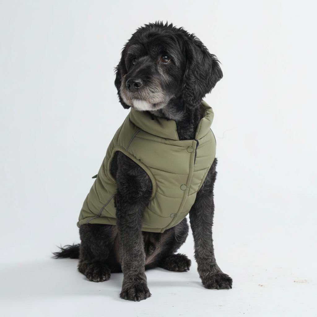 Spark Paws dog winter jacket olive front view shows warm fleece interior for cold days.