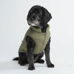 Spark Paws dog winter jacket olive front view shows warm fleece interior for cold days.