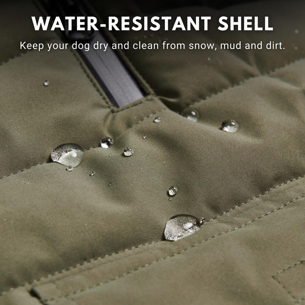 Spark Paws dog winter jacket olive exterior demonstrates water-resistant fabric for snowy days.
