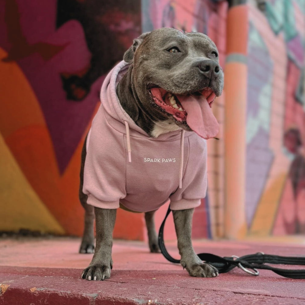 Spark Paws dusty-pink dog hoodie inside fleece offers cozy warmth without bulk