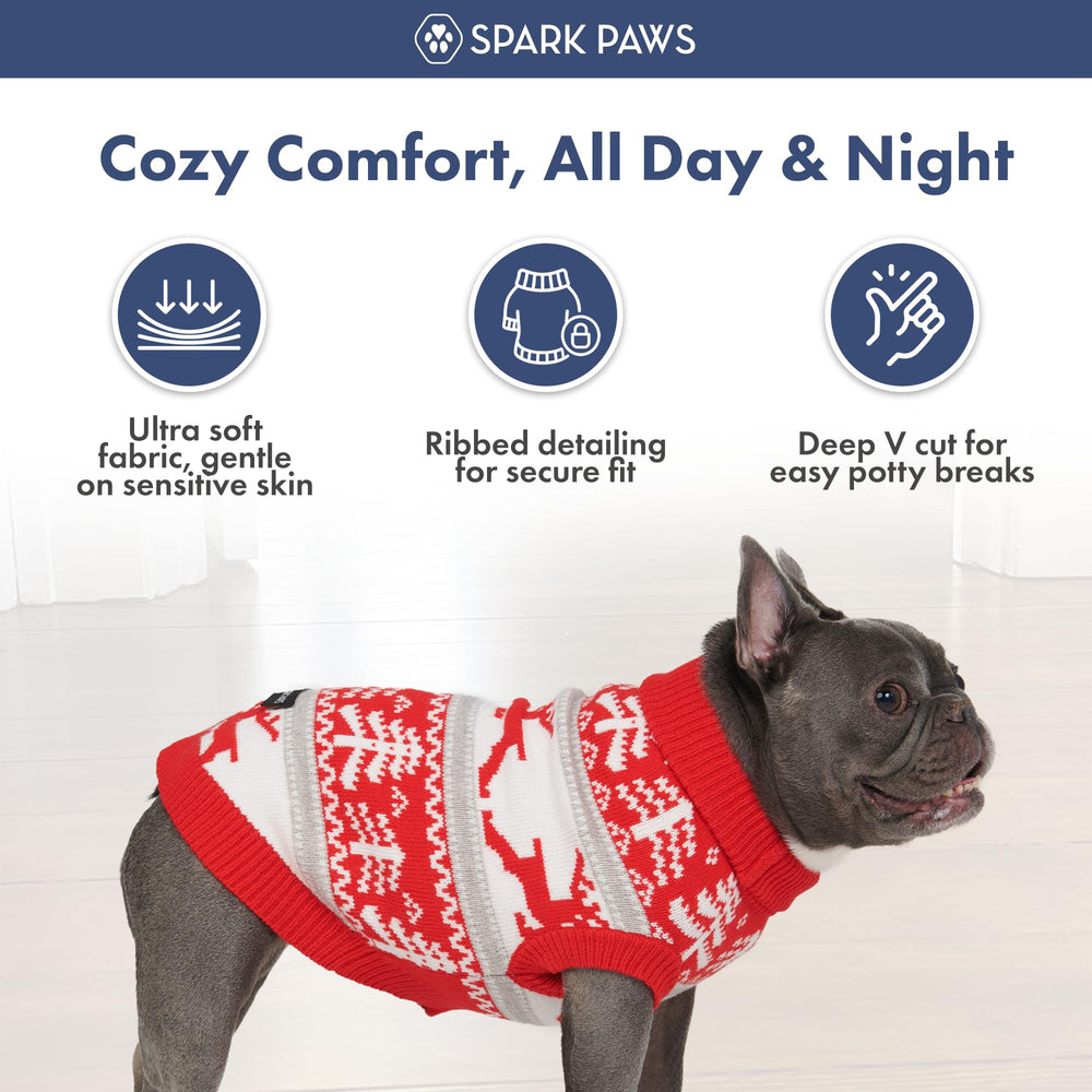Spark Paws Family walk shot highlights everyday comfort on winter strolls.