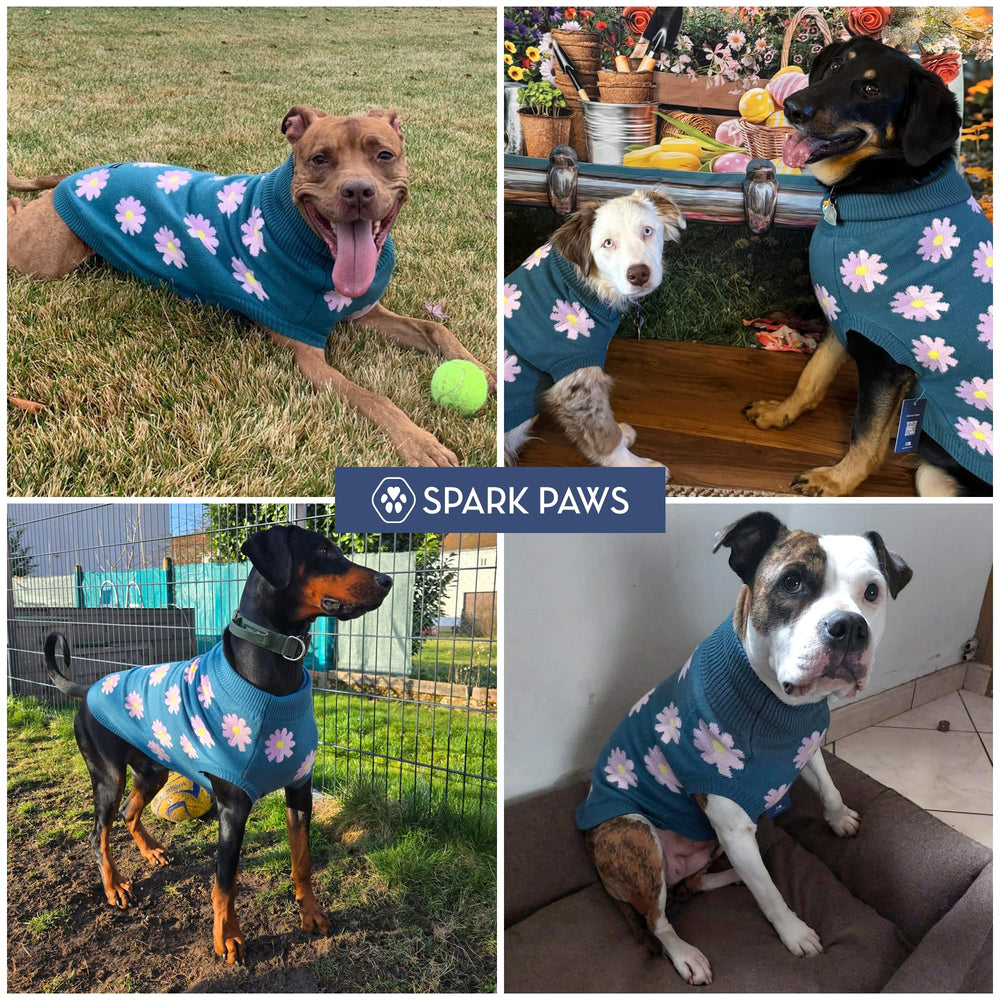 Spark Paws Knit Dog Sweater durable yarn provides lasting warmth.