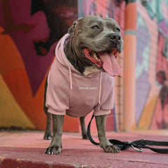 Spark Paws leash-opening hoodie enables easy harness attachment without bulk.
