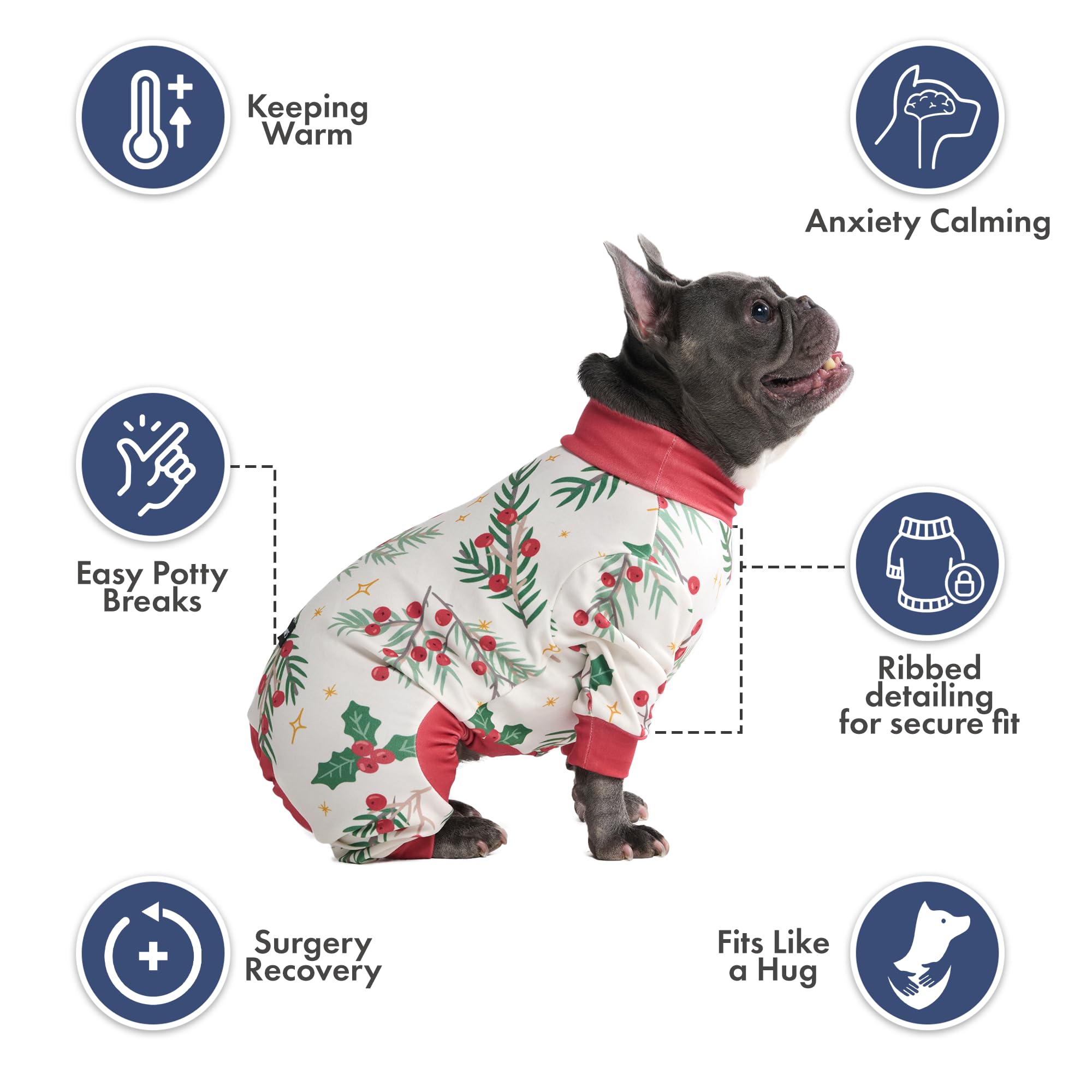 Spark Paws Mistletoe XL precision-fit tested across breeds for secure wear.