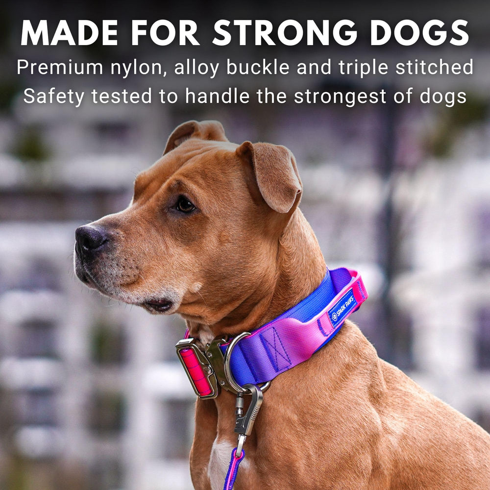 Spark Paws nylon and metal construction delivers durable performance for active breeds.