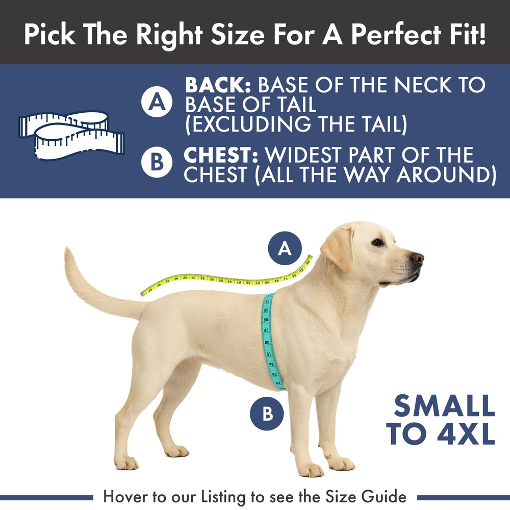 Spark Paws Mistletoe precision-fit tested on thousands of dogs.
