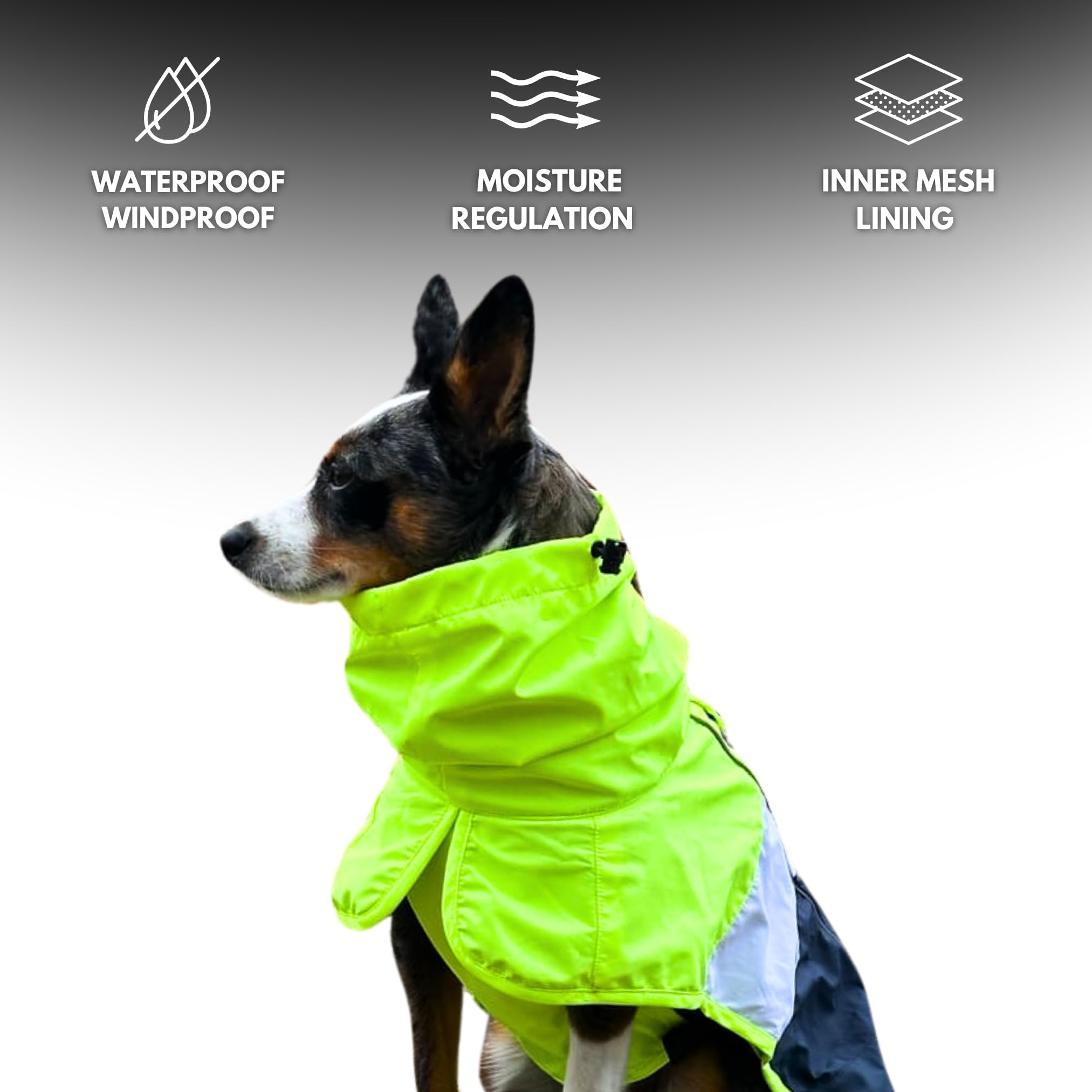 Spark Paws raincoat breathable mesh lining improves comfort on longer outdoor outings.