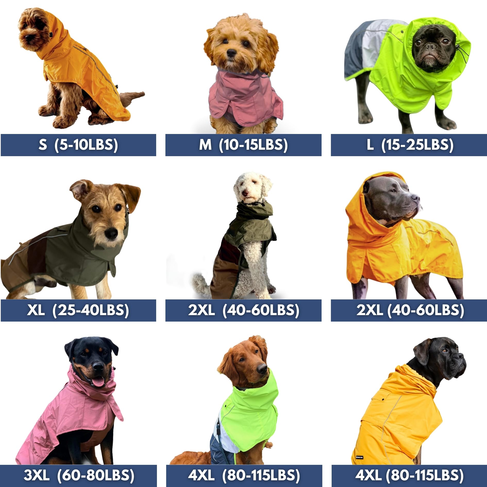 Spark Paws raincoat with reflective strips for safer nighttime walks