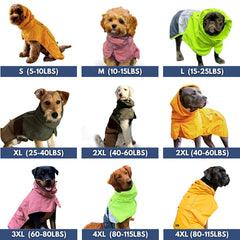 Spark Paws raincoat with reflective strips for safer nighttime walks