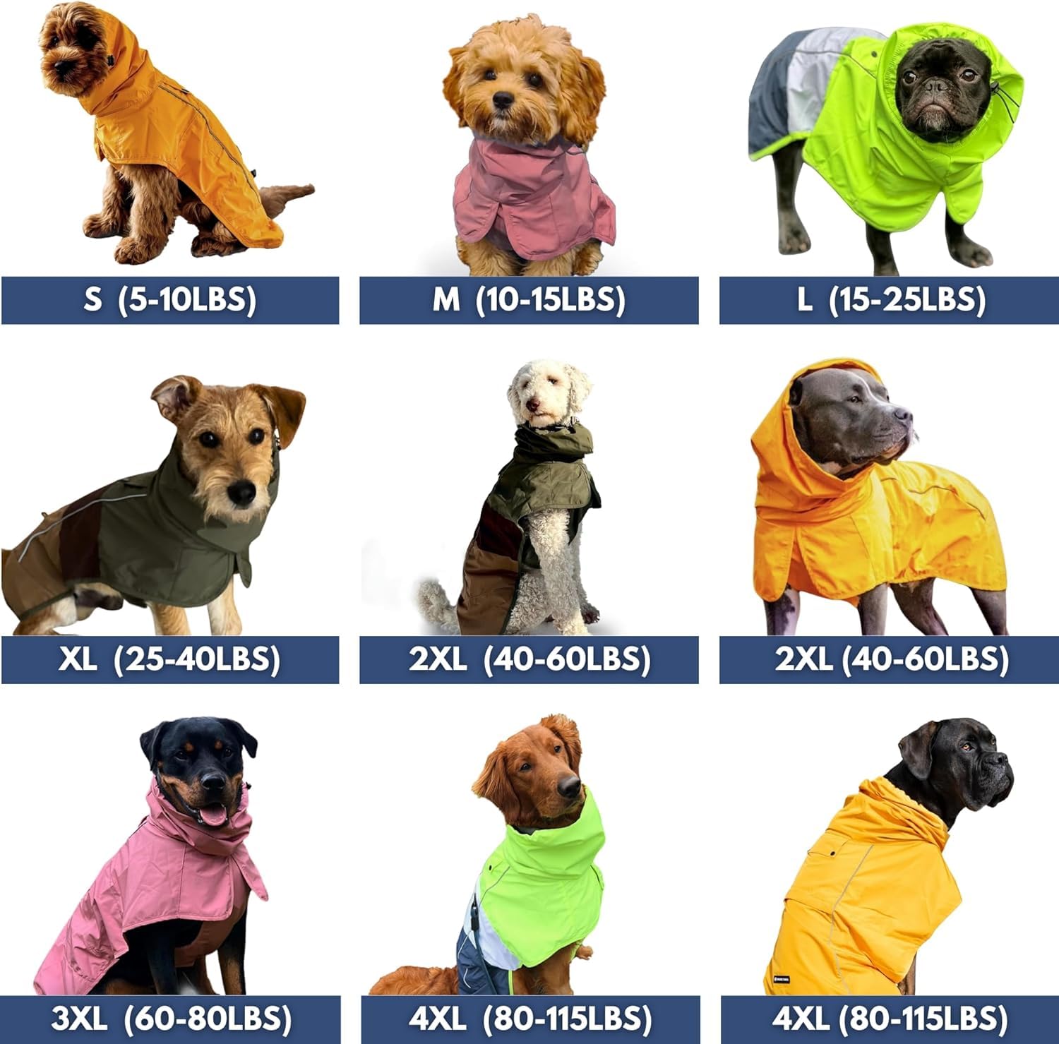 Spark Paws raincoat with reflective strips enhances safety during nighttime walks.