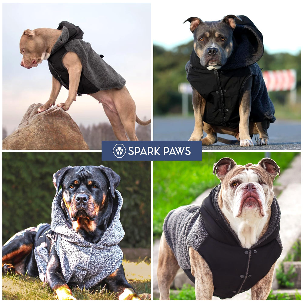 Spark Paws black and grey look demonstrates versatile winter style