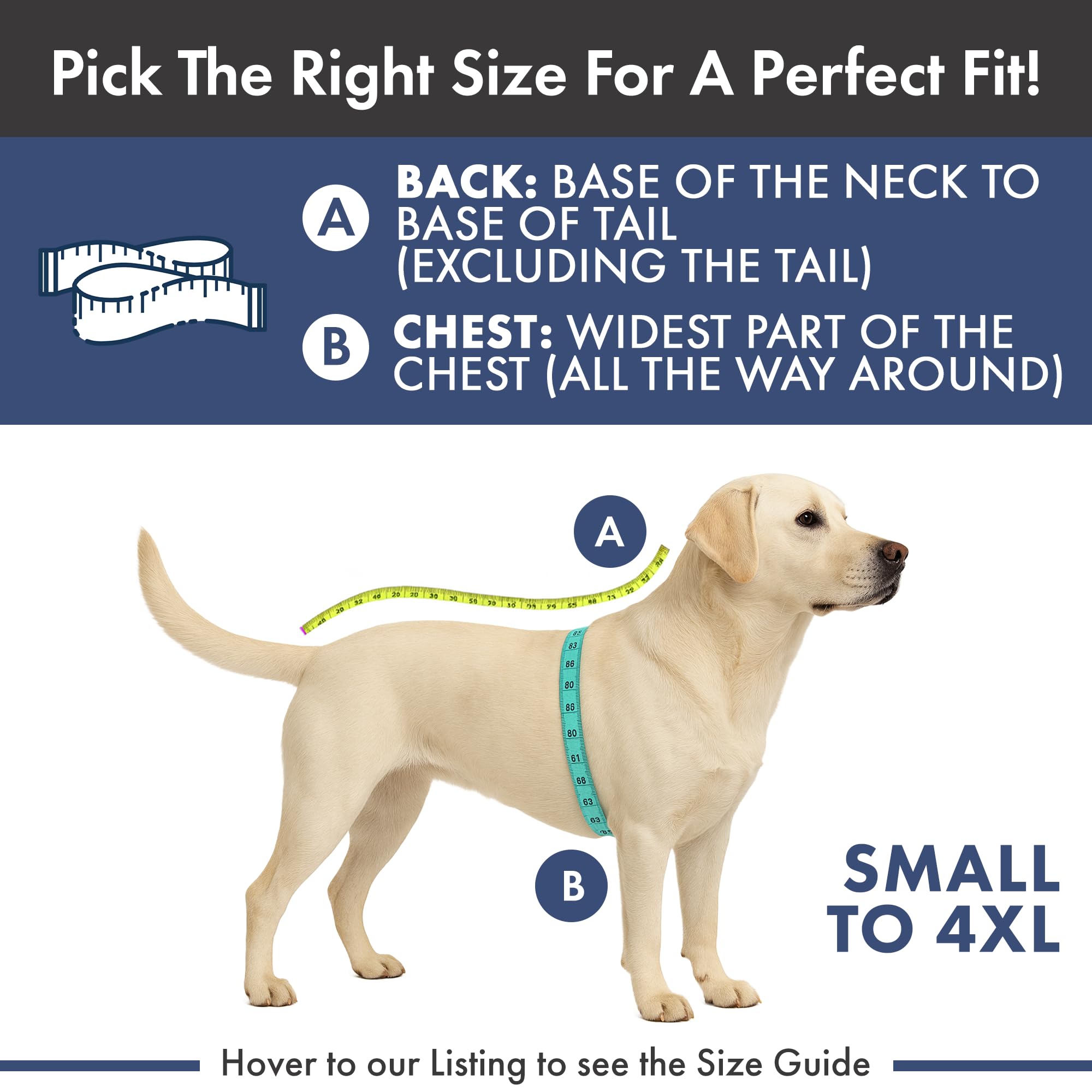 Spark Paws leash opening lets leash attachment without removing coat