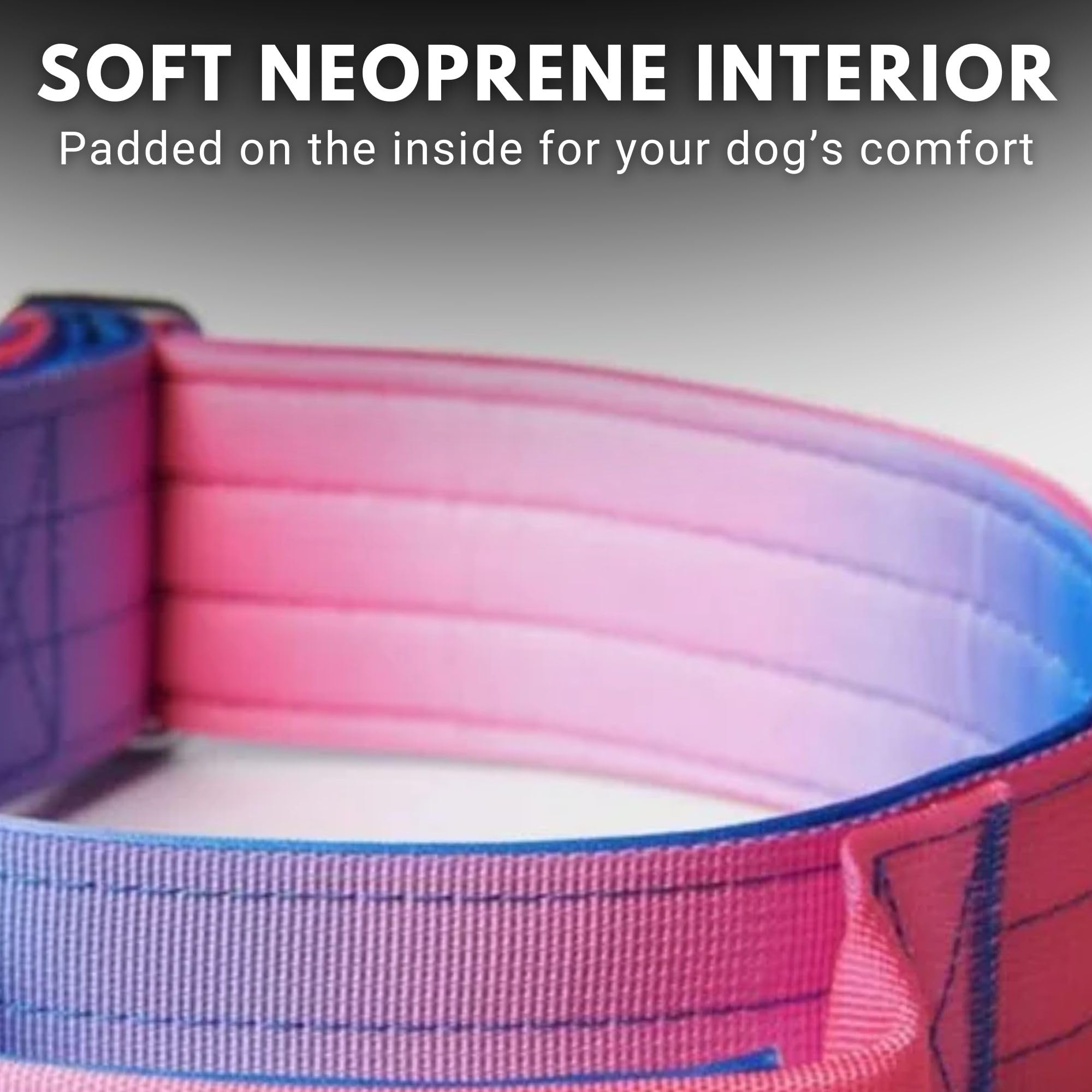 Spark Paws quick-release buckle ensures easy on-off while maintaining a secure fit.