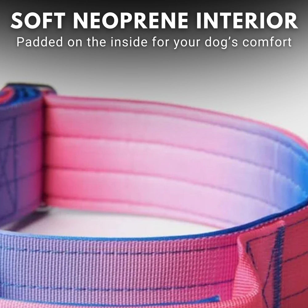 Spark Paws quick-release buckle ensures easy on-off while maintaining a secure fit.