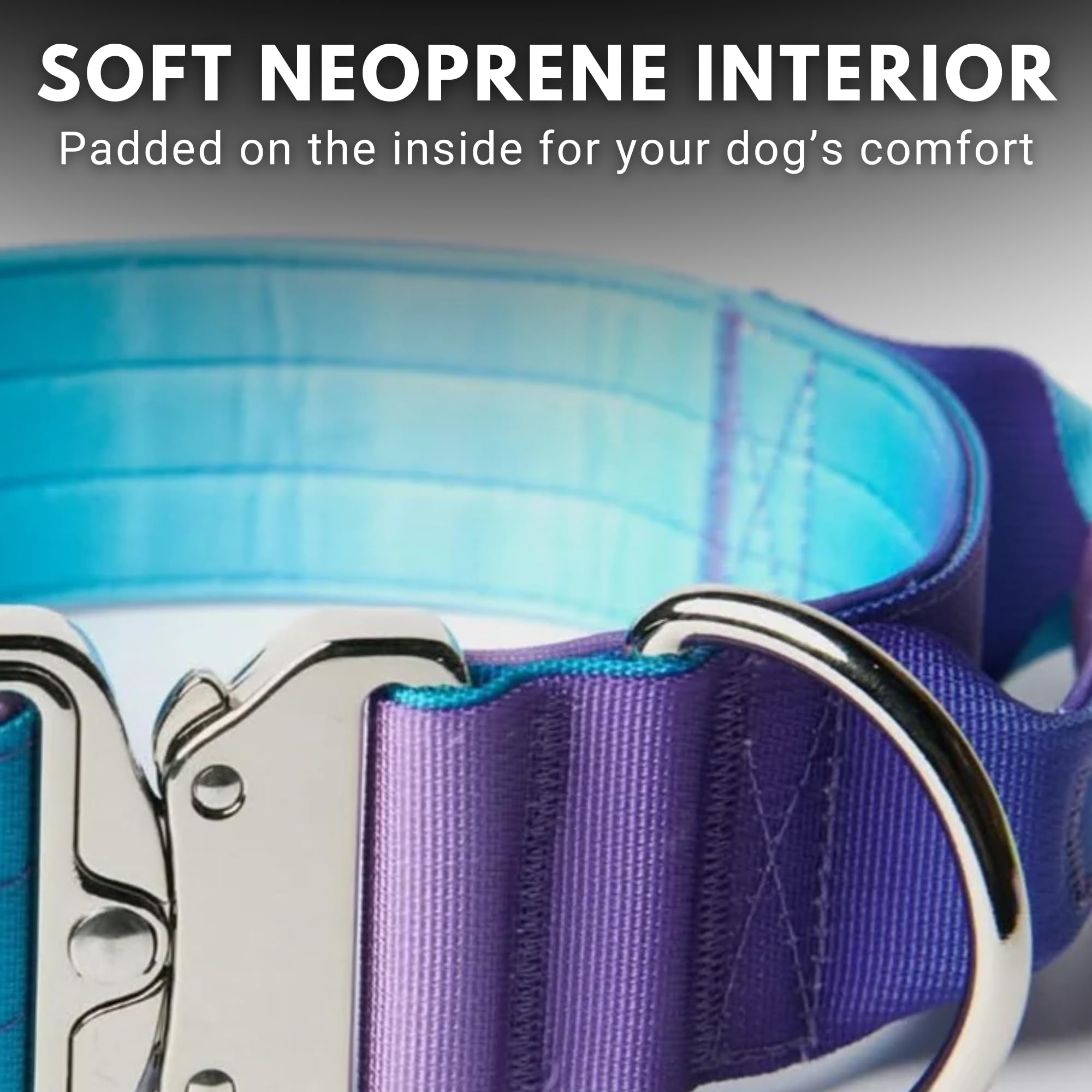 Spark Paws Tactical dog collar 90s retro design adds style to everyday adventures