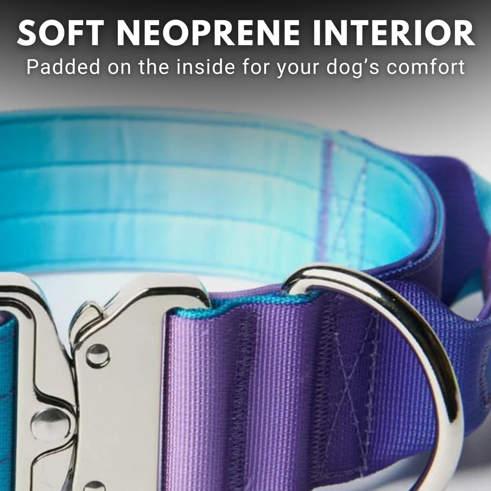 Spark Paws Tactical dog collar 90s retro design adds style to everyday adventures