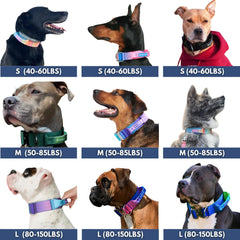 Spark Paws Tactical Dog Collar neoprene padding delivers gentle comfort against skin.