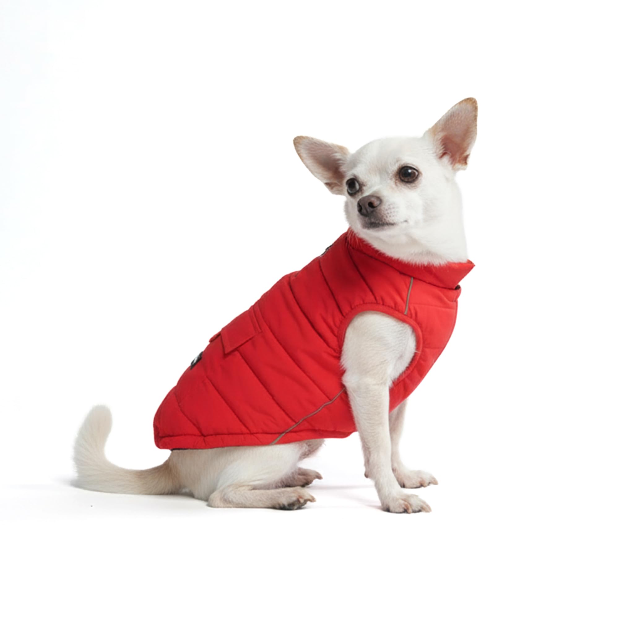 Spark Paws winter jacket front view shows warm fleece interior for chilly walks.