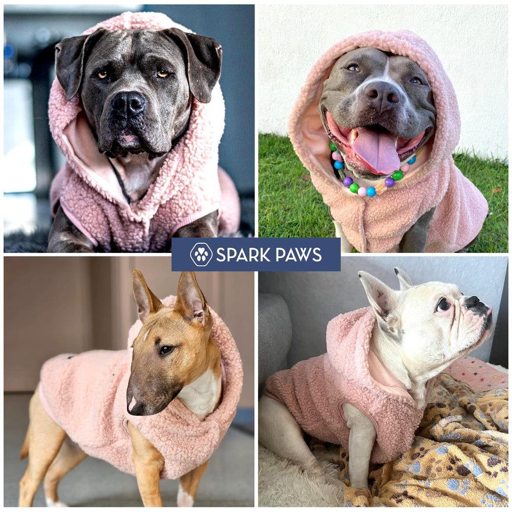 Spark Paws winter-walk setup shows ready-to-use design for cold-weather strolls.