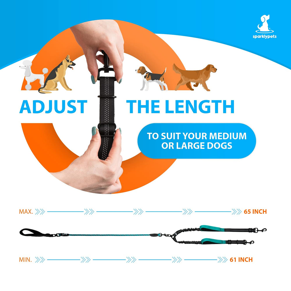 SparklyPets double dog leash teal two-dogs-walk setup shows tandem walking without twisting
