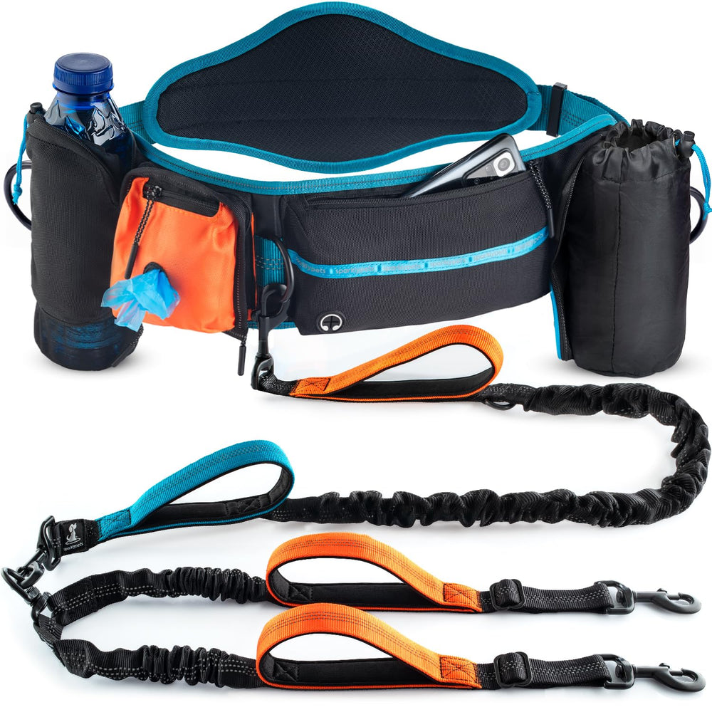 SparklyPets double-leash back brace in action for two-dog walks.