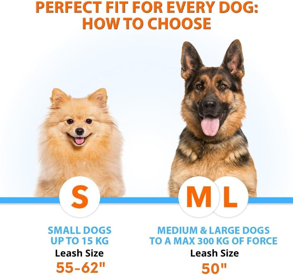 SparklyPets dual dog leash showing tangle-free swivel for smooth walks.