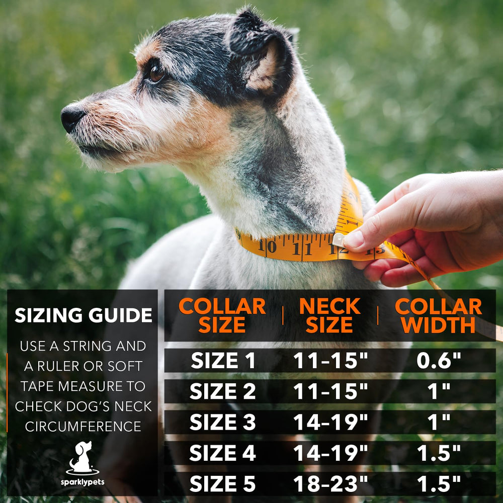 SparklyPets durable metal buckle highlights strength and long-lasting wear