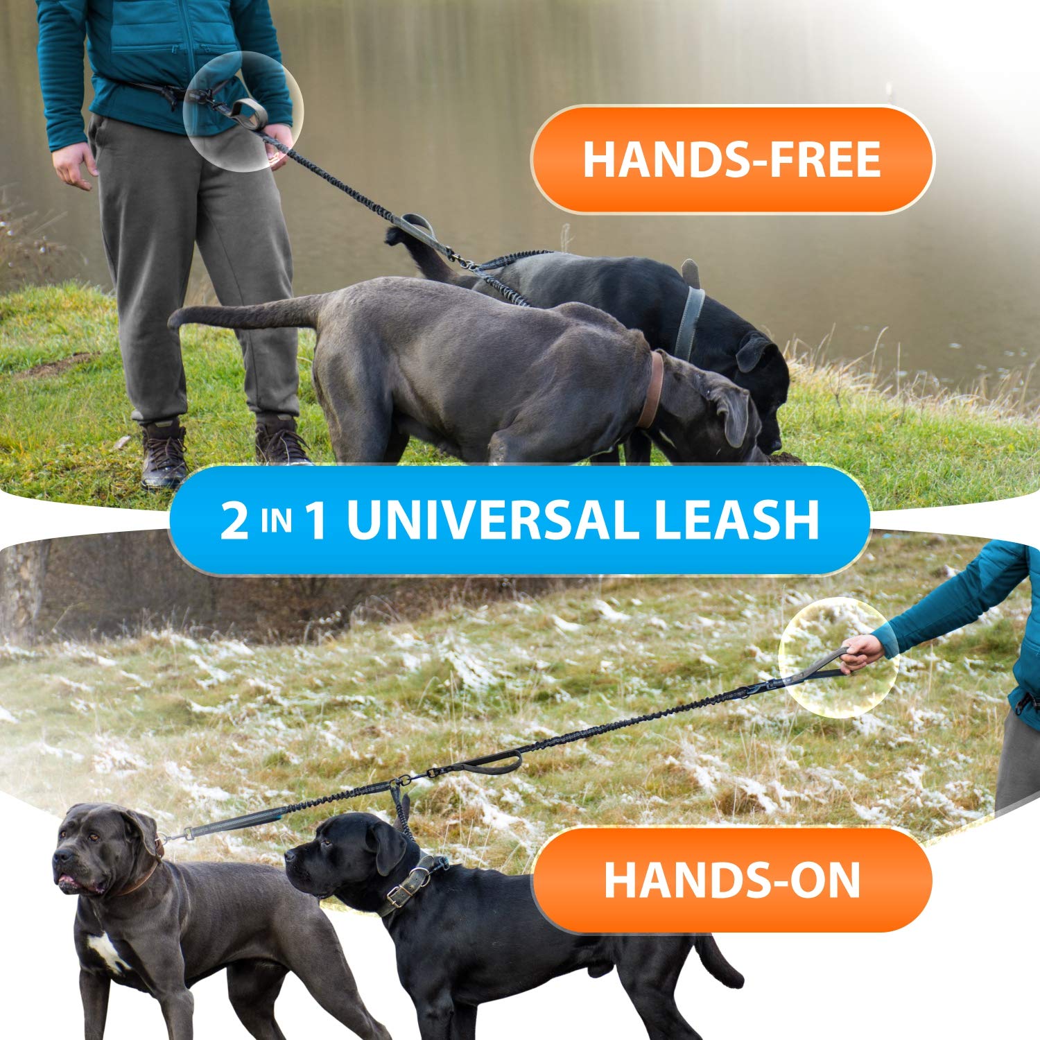SparklyPets four foam-padded handles enable precise, secure guidance.