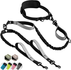 SparklyPets hands-free double dog leash with padded handles offers comfortable control for two dogs.