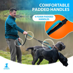 SparklyPets hands-free switchable leash demonstrating easy hands-free to hands-on transition.